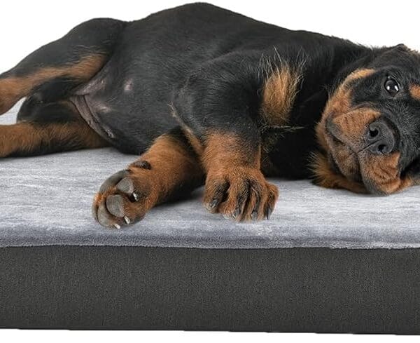 Amazon Basics Dog Bed with Cooling Gel Memory Foam, Pressure-Relief Support for Dogs up to 50lbs, Non-Slip Bottom, Machine Washable Cover, Large Sized (35" x 22"), Grey