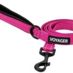Voyager Reflective Dog Leash with Neoprene Handle, 5ft Long, Supports Small, Medium, and Large Breed Puppies, Cute and Heavy Duty for Walking, Running, and Training - Fuchsia (Leash), S