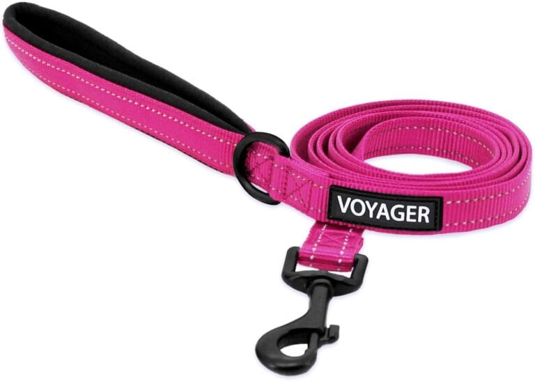 Voyager Reflective Dog Leash with Neoprene Handle, 5ft Long, Supports Small, Medium, and Large Breed Puppies, Cute and Heavy Duty for Walking, Running, and Training - Fuchsia (Leash), S