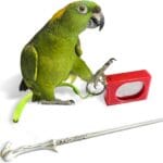 Parrot Training Clicker with Target Stick, Getting Started Bird Clicker Training Kit, Pet Training Stick Foster Discipline and Behavior Training for All Bird Breeds