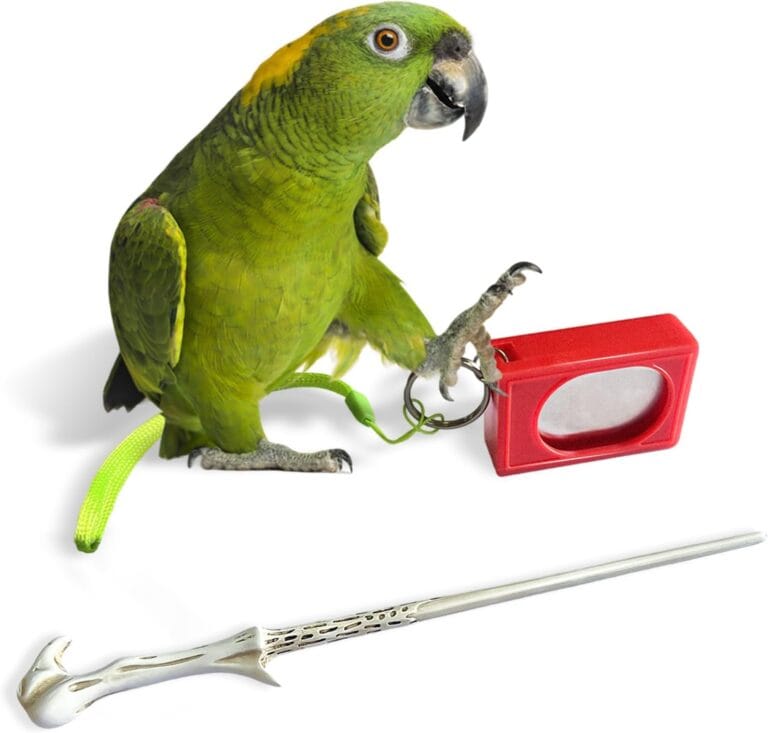 Parrot Training Clicker with Target Stick, Getting Started Bird Clicker Training Kit, Pet Training Stick Foster Discipline and Behavior Training for All Bird Breeds