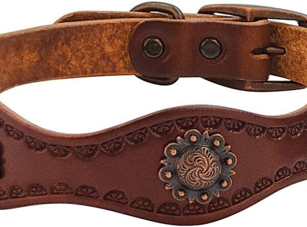 Weaver Leather Sundance Dog Collar