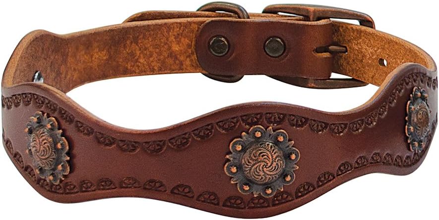 Weaver Leather Sundance Dog Collar Weaver Leather Sundance Dog Collar