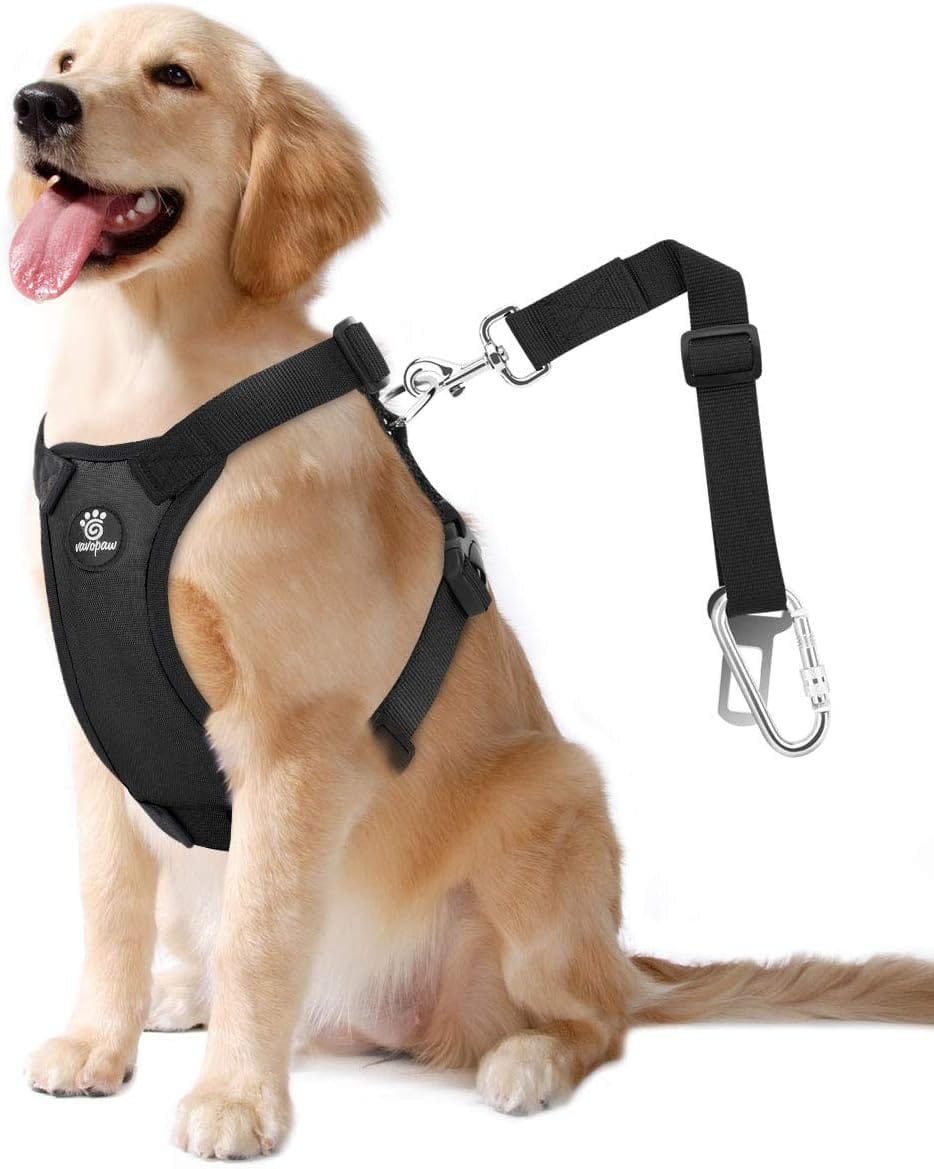 Dog Seat Belt, Safety Vest Dog Car Harness With Adjustable Buckle Dog Seat Belt For Vehicle Nylon Pet Safety Seat Belts Heavy Duty(L, Black) Dog Seat Belt, Safety Vest Dog Car Harness with Adjustable Buckle Dog Seat Belt for Vehicle Nylon Pet Safety Seat Belts Heavy Duty(L, Black)