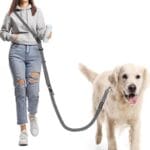 Hands Free Dog Leash, Multifunctional Crossbody Heavy Duty Dog Leash, 9.5 ft Long Waist Belt with Car Safety Buckle for Medium and Large Dogs Walking,Jogging,Running,Training (Grey 5.9-9.5ft).