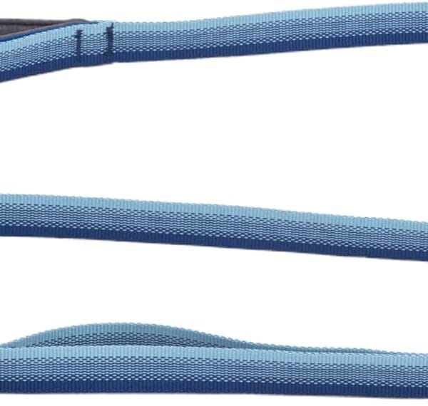 Ruffwear, Front Range Dog Leash, 5 ft Lead with Padded Handle for Everyday Walking, Coastal Fade