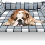 Elevated Raised Dog Bed Cot - Cooling Dog Bed with Pillows, Portable Washable Pet Cot with Metal Frame for Indoor & Outdoor Use