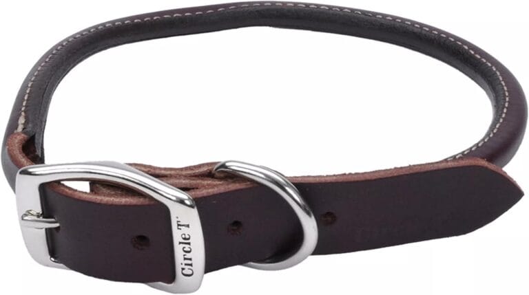 Coastal Pet Circle T Latigo Leather Round Dog Collar - Handcrafted Leather Pet Collar for Dogs - Comfortable for Dogs with Long Hair or Sensitive Skin - 3/8" x 20"