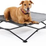 Coolaroo On-The-Go Elevated Dog Bed - Foldable Pop-Up Travel Dog Bed with Breathable, Moisture-Resistant Fabric, Carry Bag Included, Lightweight & Portable, Steel Gray, Large
