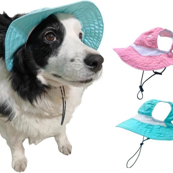 Dog Hat with Ear Hole for Large Dog Sunscreen Summer Bucket Hats Cat Suncare Cooling Outdoor Hat Sun Protection Pet Caps (Blue, X-Large)