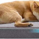 Cooling Dog Beds for Large Dogs, Orthopedic Memory Foam Dog Bed, Large Pet Beds with Washable Cover, Ideal for Arthritic Dogs Up to 65Lbs