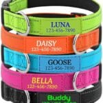Personalized Dog Collars Custom with Name Phone Number | Reflective Collars Adjustable Buckles | Ultra Soft Neoprene Padded | Silent ID Tag Dog Collar for Small, Medium, Large Dogs (XS to XL)