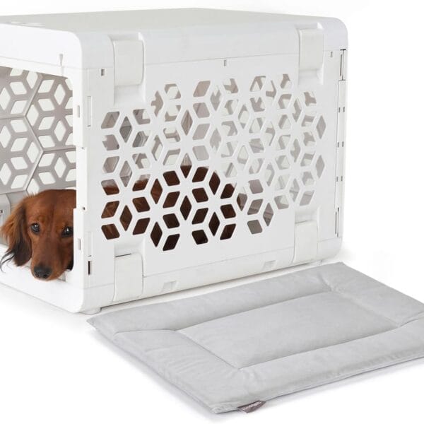 KindTail PAWD Collapsible Puppy and Dog Crate + Washable Bed - Stylish Pet Kennel with Comfortable Pad - Safe Indoor Set - Lightweight, Compact & Portable for Travel - Small White