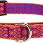 LupinePet Originals 1" Alpen Glow 15-22" Martingale Collar for Medium and Larger Dogs