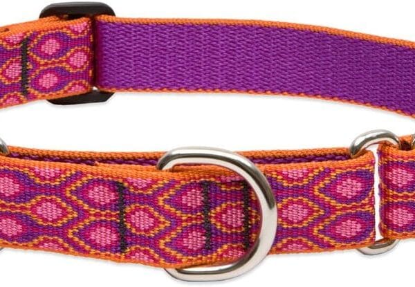 LupinePet Originals 1" Alpen Glow 15-22" Martingale Collar for Medium and Larger Dogs