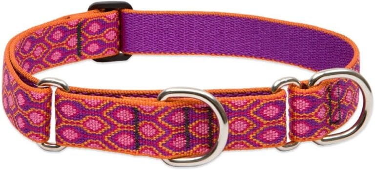 LupinePet Originals 1" Alpen Glow 15-22" Martingale Collar for Medium and Larger Dogs
