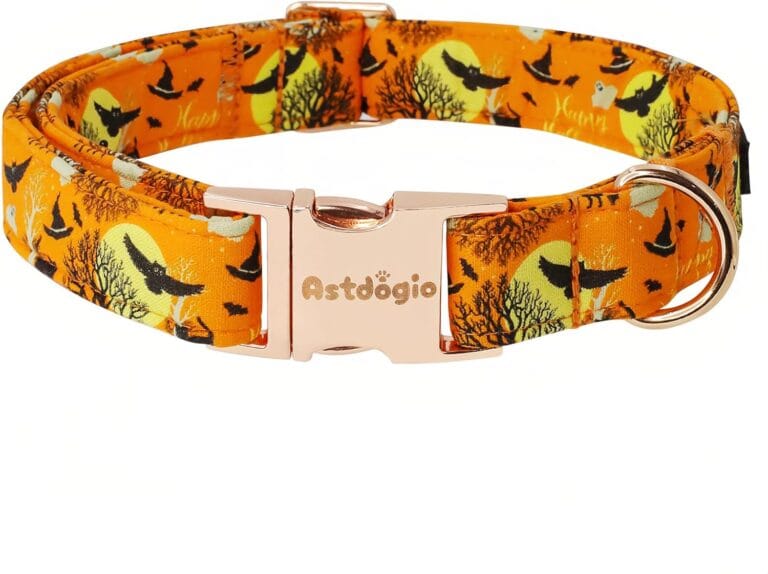 Spooky Halloween Dog Collar, Handmade Cotton with Bats & Pumpkins Pattern Pet Collar for Small Medium Large Dogs, Breathable, Adjustable & Comfortable Puppy Collar for Photos & Walks-S