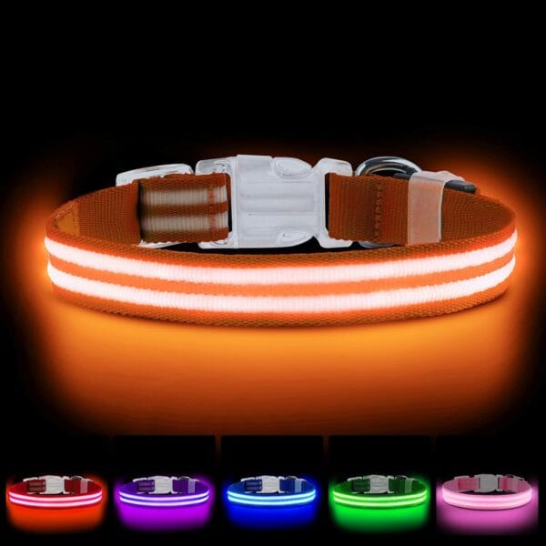 LED Dog Collar, USB Rechargeable Light Up Dog Collar, Adjustable Glowing Dog Collars, Comfortable Soft Collar for Small, Medium, Large Dogs Night Walking-Orange S