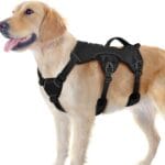 rabbitgoo Escape Proof Dog Harness, Soft Padded Full Body Pet Harness, Reflective Adjustable No Pull Vest with Lift Handle and Leash Clip for Large Dogs Walking Hiking Training, L, Black
