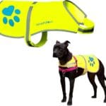 Dog Reflective Vest  Hi-Vis Fluorescent Visibility That Helps to Safeguard Your Pet On/Off Leash in Urban & Rural Areas (Yellow, Medium)