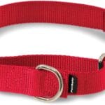 PetSafe Martingale Dog Collar with Quick-Snap Buckle - Medium, 1 Inch, Red