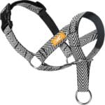 Gentle Dog Head Collar with Soft Nylon, No-Pull Padded Head Halter with Stripes, Adjustable Nose Leash for Safe Easy Walking Control(S,Black)