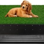 Dog Litter Box with Grass  16 x 20 inch,Strong Absorbency Grass Pad with Tray, Dog Potty Training Pad (16x20)