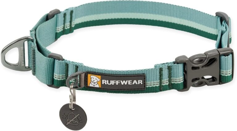 Ruffwear, Web Reaction Dog Collar, Escape-Proof Security Buckle, Adjustable Anti-Slip Martingale Collar with Durable Nylon Tubelok Webbing & Silent ID Attachment, River Rock Green, 11"-14"