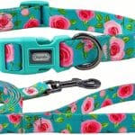 Dog Collar and Leash Set, Rose Pattern, Polyester Material, 5ft Matching Leash, for Small Dogs.(S, Green Rose Set)