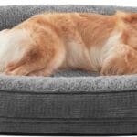 JOEJOY Orthopedic Dog Beds Large Sized Dog, XL Egg-Crate Memory Foam Pet Couch Bed with Bolster Sides, Waterproof Lining, Removable Washable Cover & Non-Slip Bottom, Grey