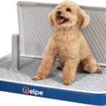 Welpe Dog Litter Box  The Perfect Indoor Dog Potty Tray with High Walls for Small & Medium Dogs, Mess-Free Puppy Training, Protects Floors & Makes Housebreaking Easy!