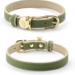 Copenhagen Leather Dog Collar - Handmade with Vegan Soft Leather Round Padded Collar with Adjustable Buckle for Extra Small, Small, Medium, and Large Dogs - Color Olive - Size Extra Small