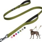 Fida 4 FT Heavy Duty Dog Leash with 2 Comfortable Padded Handles, Traffic Handle & Advanced Easy Snap Hook, Reflective Walking Lead for Large, Medium & Small Breed Dogs, Green