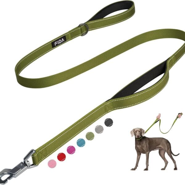 Fida 4 FT Heavy Duty Dog Leash with 2 Comfortable Padded Handles, Traffic Handle & Advanced Easy Snap Hook, Reflective Walking Lead for Large, Medium & Small Breed Dogs, Green