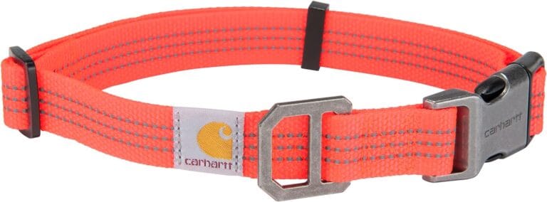 Carhartt Fully Adjustable Nylon Webbing Collars for Dogs, Reflective Stitching for Visibility, Coral Glow (Nylon Webbing), Large