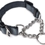 Mighty Paw Martingale Collar with Buckle | Training Dog Collar, Limited Cinch Chain Pet Gear for No Pull Dog Walking. Martingale Dog Collars for Large Dogs, Medium Breeds and Small Pets