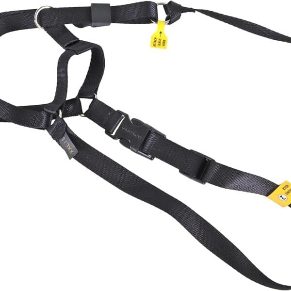 Coastal Pet Walk 'n Train Dog Head Halter - Head Colllar Dog Leader - No-Pull Pet Harness - Quick-Drying Polyester - Black - Medium