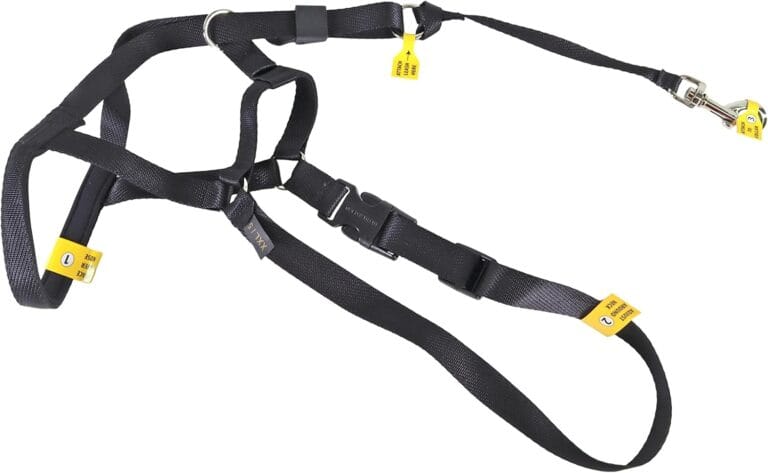 Coastal Pet Walk 'n Train Dog Head Halter - Head Colllar Dog Leader - No-Pull Pet Harness - Quick-Drying Polyester - Black - Medium