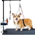 SHELANDY Pet Grooming arm with clamp for Large and Small Dogs - 35 inch Height Adjustable and Free Two No Sit Haunch Holder,Black