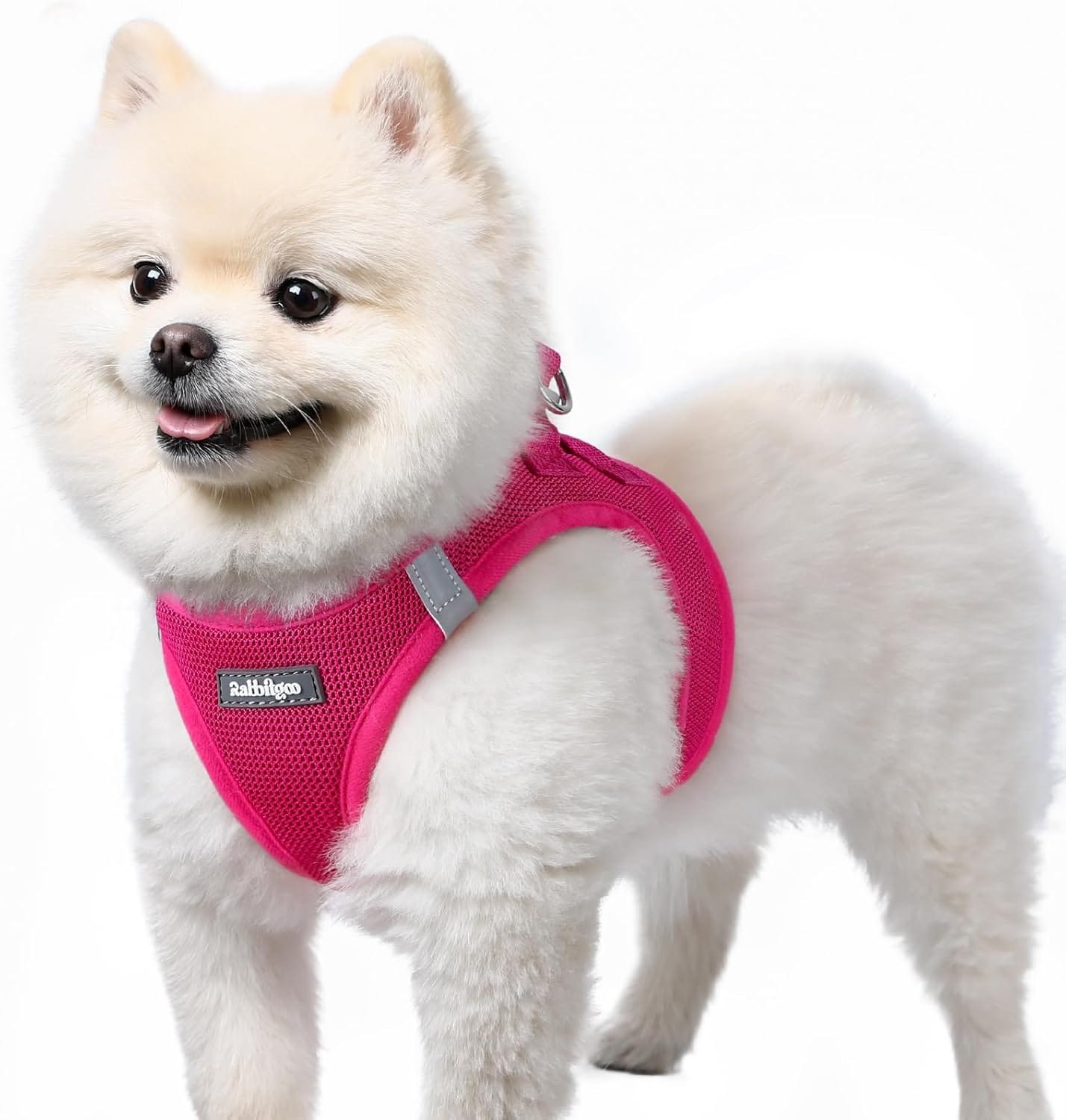 Rabbitgoo Small Dog Harness, Step In Soft Mesh Puppy Vest With Safety Buckle, Breathable Reflective Pet Harness For Small Sized Dogs, Rose Red S rabbitgoo Small Dog Harness, Step-in Soft Mesh Puppy Vest with Safety Buckle, Breathable Reflective Pet Harness for Small Sized Dogs, Rose Red S