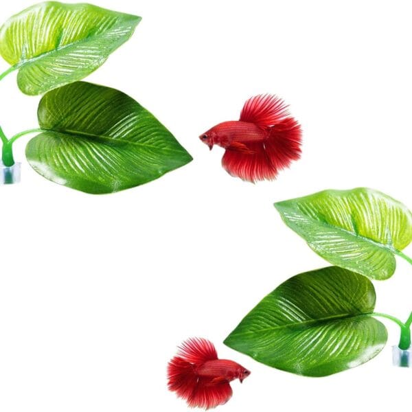 CousDUoBe 2 Pack Betta Fish Leaf Pad Improves Betta's Health by Simulating The Natural Habitat - Natural, Organic, Comfortable Rest Area for Fish Aquarium Ornaments