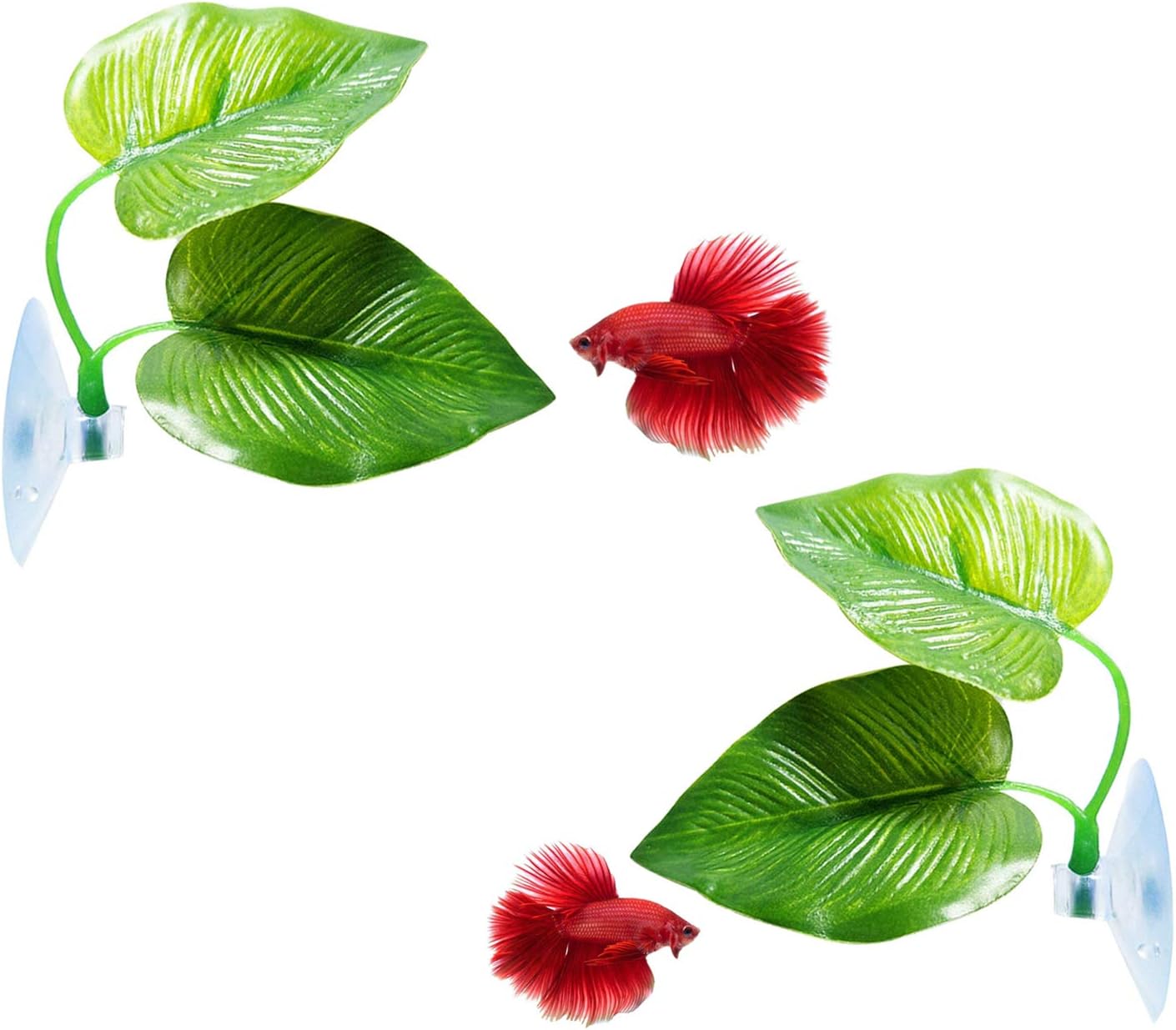 CousDUoBe 2 Pack Betta Fish Leaf Pad Improves Betta's Health By Simulating The Natural Habitat Natural, Organic, Comfortable Rest Area For Fish Aquarium Ornaments CousDUoBe 2 Pack Betta Fish Leaf Pad Improves Betta's Health by Simulating The Natural Habitat - Natural, Organic, Comfortable Rest Area for Fish Aquarium Ornaments