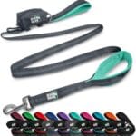 Black Rhino Heavy Duty Dog Leash for Medium and Large Dogs - 6 ft Long Double Handle Leash with Padded Traffic Control Handles and Bag for Comfort - Reflective, Durable, and Weather Resistant (Aqua)