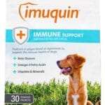 Nutramax Laboratories Nutramax Imuquin Immune Health Supplement Powder for Dogs, with Beta Glucans, Marine Lipids, Vitamins and Minerals, 30 Packets, Updated Version