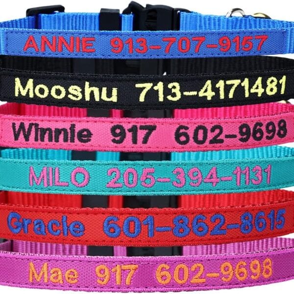 Personalized Nylon Cat Collar Breakaway with Bell - Custom Embroidered Text ID Collars with Pet Name and Phone Number