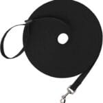Hi Kiss Dog/Puppy Obedience Recall Training Agility Lead - 15ft 20ft 30ft 50ft 100ft Training Leash - Great for Play, Camping, or Backyard - Black 30ft