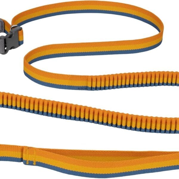 Ruffwear, Roamer Bungee Dog Leash for Running, Biking or Hiking, Can be Used Hand-Held or Hands-Free, Yellow Snow, 7.3'-11'