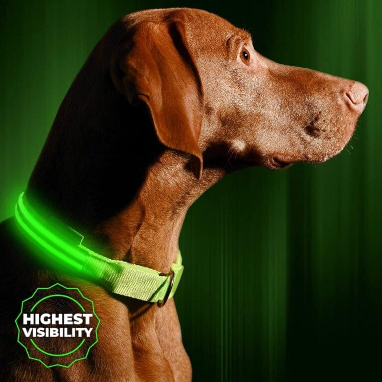 Illumiseen LED Dog Collar USB Rechargeable - Bright & High Visibility Lighted Glow Collar for Pet Night Walking - Weatherproof, in 6 Colors & 6 Sizes (Green Medium)