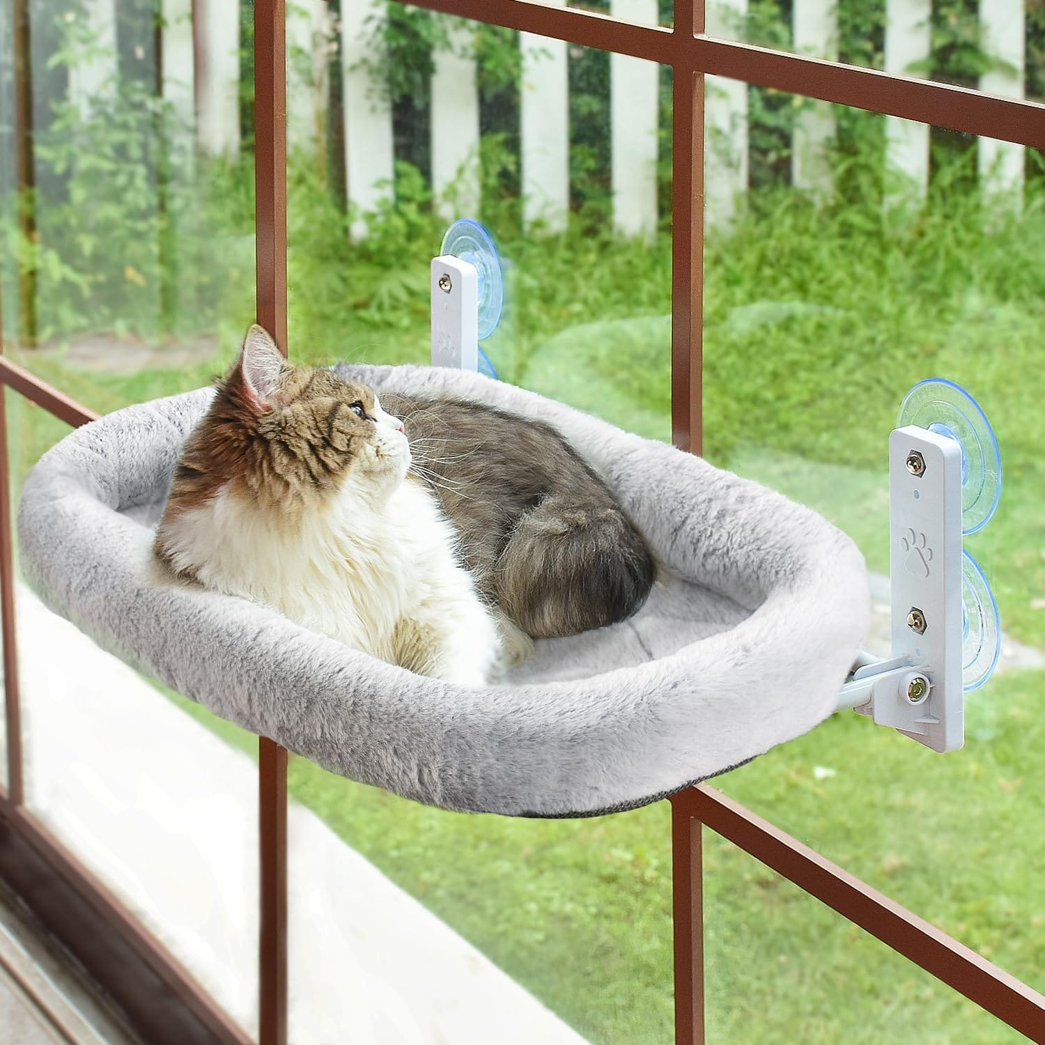 AMOSIJOY Cordless Cat Window Perch, Cat Hammock For Wall With 4 Strong Suction Cups, Solid Metal Frame And Two Replaceable Covers, Foldable Cat Beds For Indoor Cats (Large Cushion Bed Gray) AMOSIJOY Cordless Cat Window Perch, Cat Hammock for Wall with 4 Strong Suction Cups, Solid Metal Frame and Two Replaceable Covers, Foldable Cat Beds for Indoor Cats (Large-Cushion Bed-Gray)