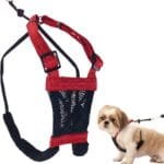 Sporn No Pull Dog Harness for Small-Sized Dogs - Red Mesh, Heavy Duty Nylon, Breathable, Lightweight, Adjustable, Padded, Soft & Easy, Anti-Pull & Anti-Rub Body Halter, Small Dog Harness for Puppies